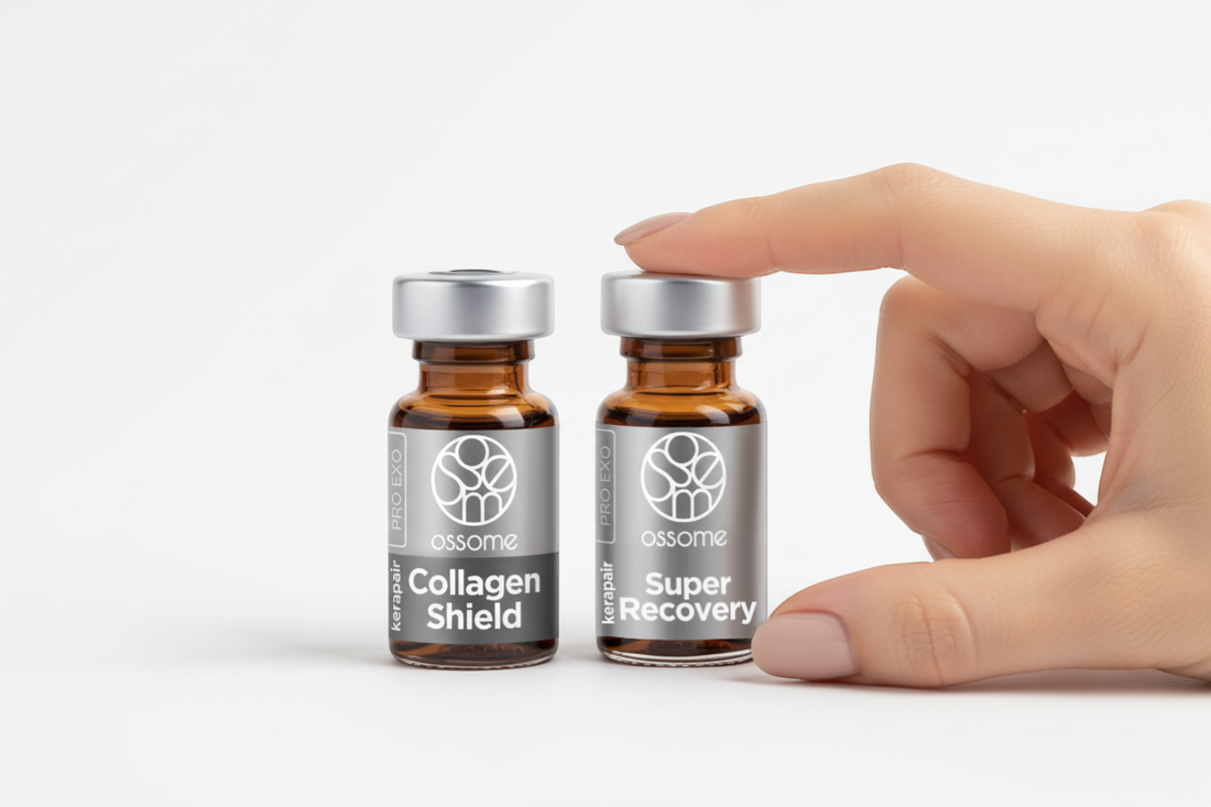 modular exosome protocol