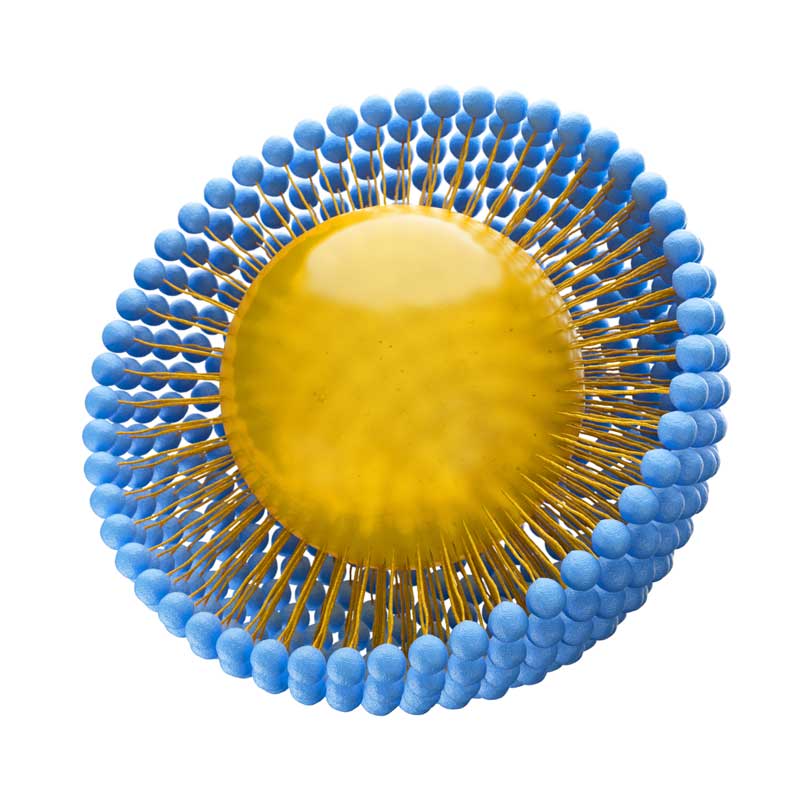 PDRN Scalp