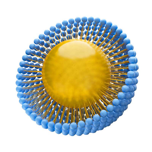 PDRN Scalp